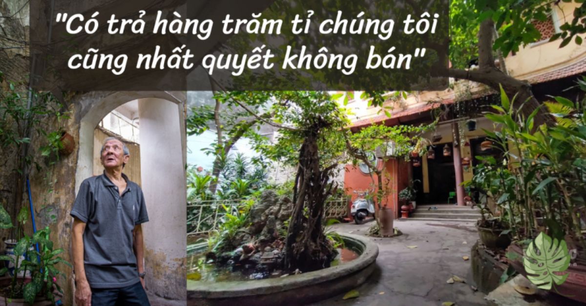 Hà Nội: Nhà vườn 300m2 ngay tại “đất vàng” phố cổ, đại gia trả giá 180 tỉ cũng không bán